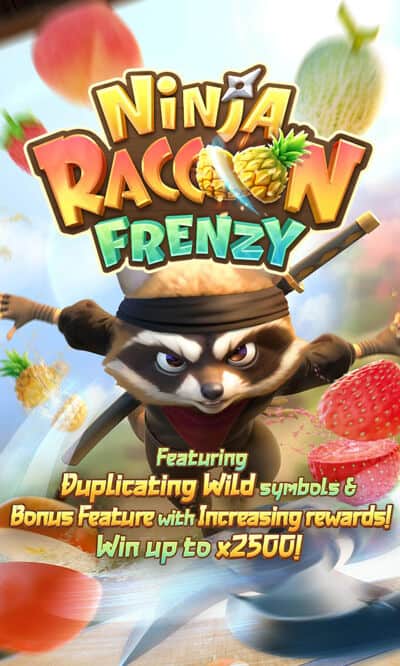 ninja raccoon frenzy
